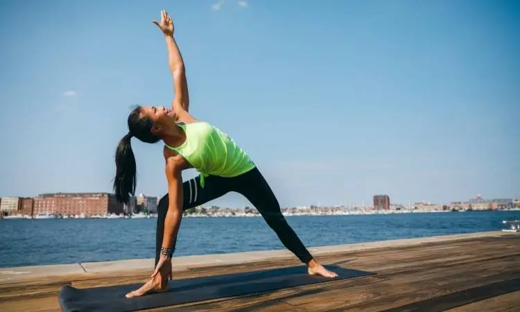 A Journey into the Foundations: Exploring Basic Yoga Poses